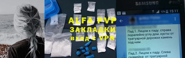 PSILOCYBIN Бронницы