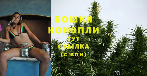 PSILOCYBIN Бронницы