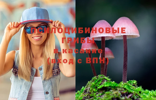ешки Бородино